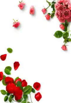 Fotoefect din categoria Rame foto pentru femei № 189314