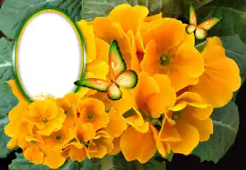 Fotoefect din categoria Rame foto pentru femei № 189369