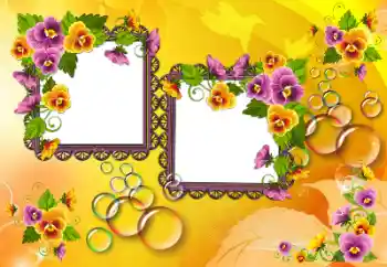 Fotoefect din categoria Rame foto pentru femei № 189400
