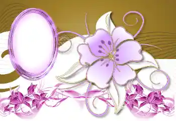 Fotoefect din categoria Rame foto pentru femei № 189401