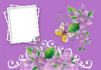 Fotoefect din categoria Rame foto pentru femei № 190479