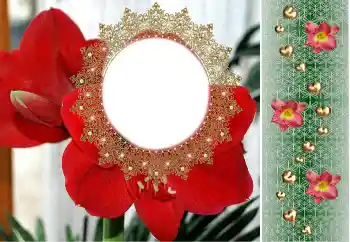 Fotoefect din categoria Rame foto pentru femei № 190480