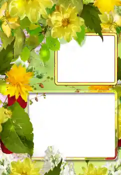 Fotoefect din categoria Rame foto pentru femei № 190522