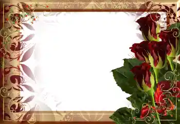 Fotoefect din categoria Rame foto pentru femei № 190564