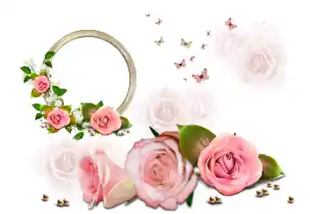 Fotoefect din categoria Rame foto pentru femei № 190616