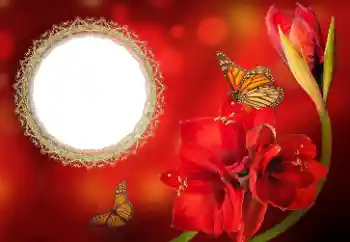 Fotoefect din categoria Rame foto pentru femei № 191699