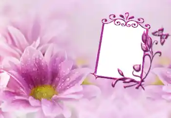 Fotoefect din categoria Rame foto pentru femei № 191747 Fotoefect din categoria Rame foto pentru femei № 191747