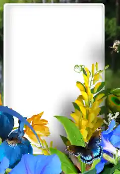 Fotoefect din categoria Rame foto pentru femei № 192828