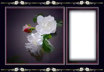 Fotoefect din categoria Rame foto pentru femei № 194163 Fotoefect din categoria Rame foto pentru femei № 194163
