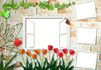 Fotoefect din categoria Rame foto pentru femei № 194188 Fotoefect din categoria Rame foto pentru femei № 194188