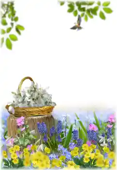 Fotoefect din categoria Rame foto pentru femei № 195329 Fotoefect din categoria Rame foto pentru femei № 195329