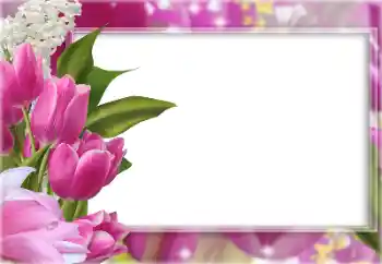 Fotoefect din categoria Rame foto pentru femei № 196363 Fotoefect din categoria Rame foto pentru femei № 196363