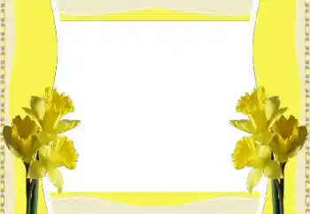 Fotoefect din categoria Rame foto pentru femei № 196380 Fotoefect din categoria Rame foto pentru femei № 196380