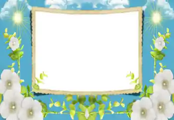Fotoefect din categoria Rame foto pentru femei № 196590 Fotoefect din categoria Rame foto pentru femei № 196590