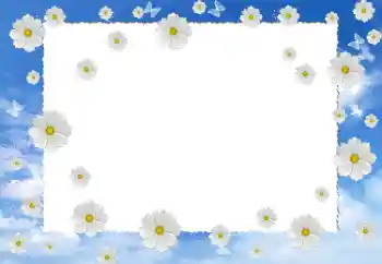 Fotoefect din categoria Rame foto pentru femei № 198782 Fotoefect din categoria Rame foto pentru femei № 198782