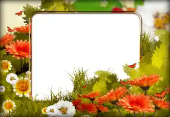 Fotoefect din categoria Rame foto pentru femei № 198826 Fotoefect din categoria Rame foto pentru femei № 198826