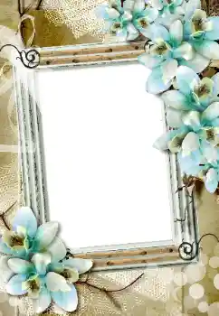 Fotoefect din categoria Rame foto pentru femei № 198873
