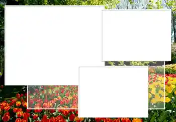 Fotoefect din categoria Rame foto pentru femei № 198891