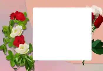 Fotoefect din categoria Rame foto pentru femei № 198906 Fotoefect din categoria Rame foto pentru femei № 198906