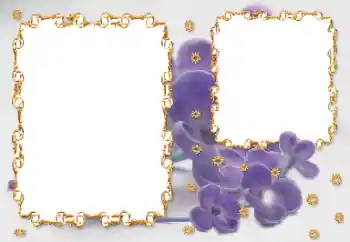 Fotoefect din categoria Rame foto pentru femei № 203262