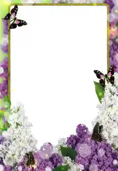 Fotoefect din categoria Rame foto pentru femei № 203271 Fotoefect din categoria Rame foto pentru femei № 203271