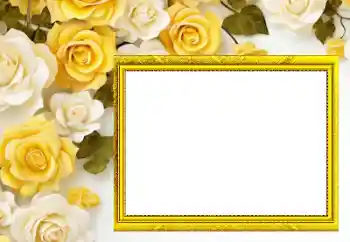 Fotoefect din categoria Rame foto pentru femei № 205558 Fotoefect din categoria Rame foto pentru femei № 205558