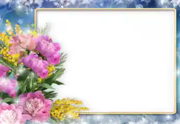 Fotoefect din categoria Rame foto pentru femei № 205831 Fotoefect din categoria Rame foto pentru femei № 205831