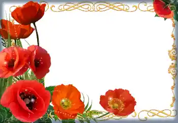 Fotoefect din categoria Rame foto pentru femei № 205838 Fotoefect din categoria Rame foto pentru femei № 205838