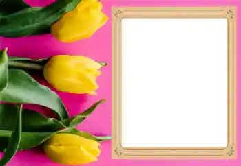 Fotoefect din categoria Rame foto pentru femei № 206177 Fotoefect din categoria Rame foto pentru femei № 206177