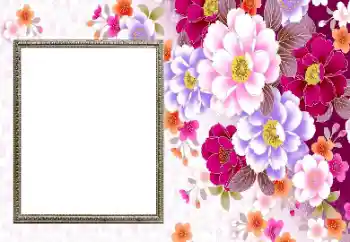 Fotoefect din categoria Rame foto pentru femei № 206192