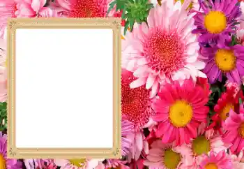 Fotoefect din categoria Rame foto pentru femei № 206193
