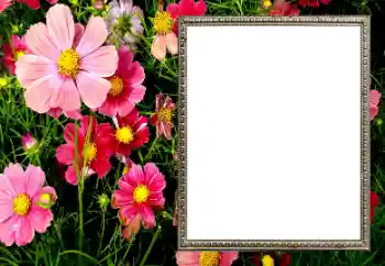Fotoefect din categoria Rame foto pentru femei № 206194