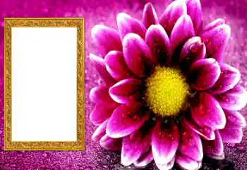 Fotoefect din categoria Rame foto pentru femei № 206195