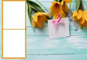 Fotoefect din categoria Rame foto pentru femei № 206196